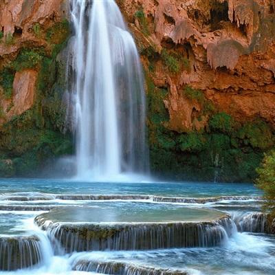 金星棋牌app下载